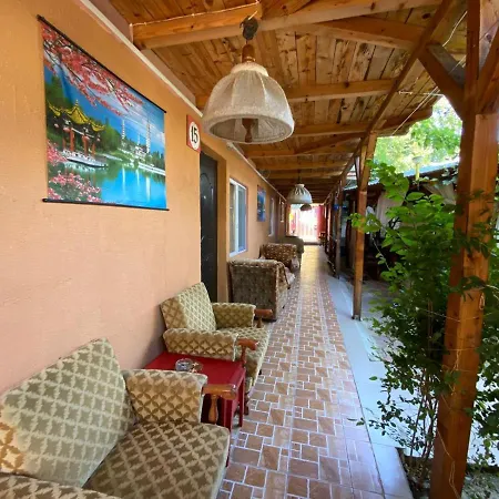 Babilon ホームステイ コスティネシュティ